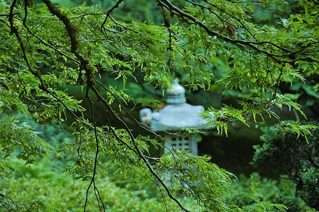 Descărcare gratuită Zen Asian Garden - fotografie sau imagini gratuite pentru a fi editate cu editorul de imagini online GIMP