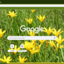 Zephyranthes  screen for extension Chrome web store in OffiDocs Chromium