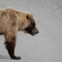 Zero Distractions  screen for extension Chrome web store in OffiDocs Chromium Zero Distractions  screen for extension Chrome web store in OffiDocs Chromium