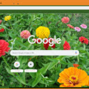Zinnia  screen for extension Chrome web store in OffiDocs Chromium
