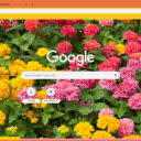 Zinnia Lilliput  screen for extension Chrome web store in OffiDocs Chromium
