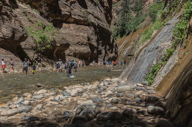 Bezpłatne pobieranie Zion Water Walk - bezpłatne zdjęcie lub obraz do edycji za pomocą internetowego edytora obrazów GIMP