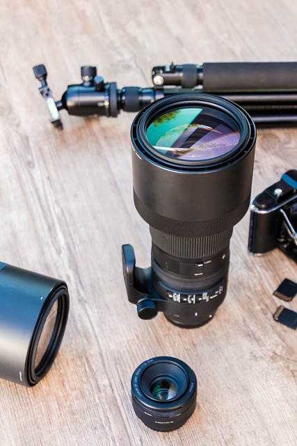 Free download zoom lens 600mm telephoto lens free picture to be edited with GIMP free online image editor