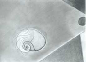 Free download Z - snail free photo or picture to be edited with GIMP online image editor
