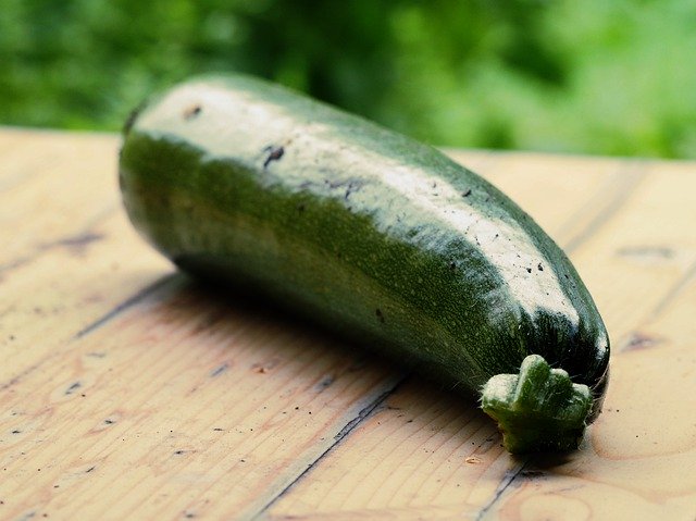 Descarga gratuita Zucchini Garden Vegetables: foto o imagen gratuita para editar con el editor de imágenes en línea GIMP