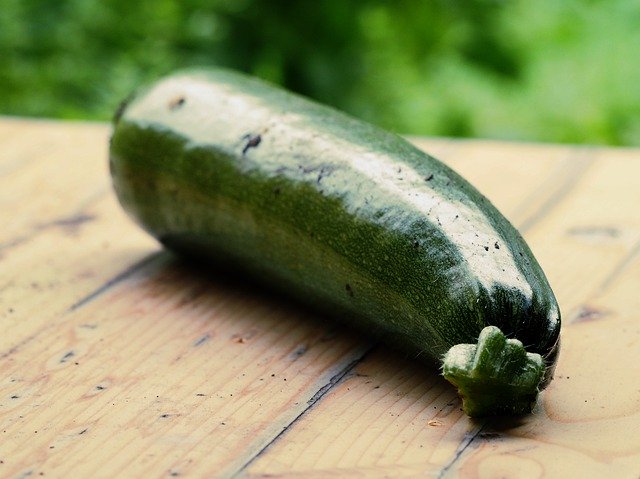 Free download Zucchini Garden Vegetables -  free photo or picture to be edited with GIMP online image editor