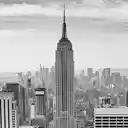 *NEW* NYC Skyline HD Wallpapers New Tab Theme  screen for extension Chrome web store in OffiDocs Chromium