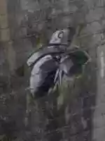 تنزيل مجاني \ صورة مجانية أو صورة لتحريرها باستخدام محرر الصور عبر الإنترنت GIMP