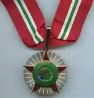 Free download 001a Commander Order Of The Niger 001Nigerian Air Force, Army, Customs Service, Firemen, Navy and Police Medals free photo or picture to be edited with GIMP online image editor