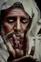 Free download 02258 free photo or picture to be edited with GIMP online image editor