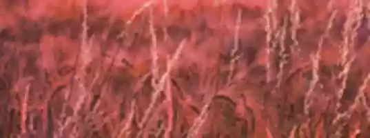 Free download 03bg free photo or picture to be edited with GIMP online image editor