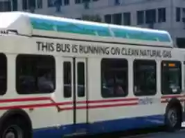 Free download 08392 free photo or picture to be edited with GIMP online image editor