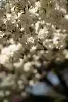 Free download 0 R 9 A 2836 free photo or picture to be edited with GIMP online image editor