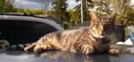 Free download 10-14-16 Litle One free photo or picture to be edited with GIMP online image editor