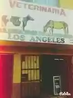 Gratis download 10 LOS ANGELES gratis foto of afbeelding om te bewerken met GIMP online afbeeldingseditor