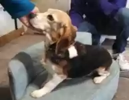 Free download 11-11-16 Wilma 2 free photo or picture to be edited with GIMP online image editor