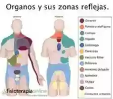 Téléchargement gratuit 11169956 827680183982417 2014182749023395345 N photo ou image gratuite à éditer avec l'éditeur d'images en ligne GIMP