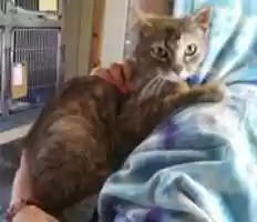 Free download 12-23-16 Mavis free photo or picture to be edited with GIMP online image editor