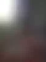 Free download 15810636400335033262101413084369 free photo or picture to be edited with GIMP online image editor