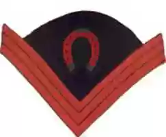 Free download 1872-1902 United States Army Chevrons for a  Veterinary Sergeant of Battery Field Artillery free photo or picture to be edited with GIMP online image editor