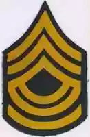 Free download 1902-1920 United States Army World War One Chevrons free photo or picture to be edited with GIMP online image editor