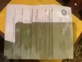 Free download 1-919653541 free photo or picture to be edited with GIMP online image editor