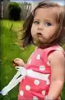 Free download 1ko 11 free photo or picture to be edited with GIMP online image editor