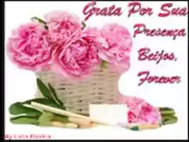 Free download 1 NIVER FOREVER 2016 14 free photo or picture to be edited with GIMP online image editor