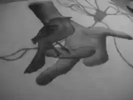 Free download 2012 05 20 22.46.06 free photo or picture to be edited with GIMP online image editor