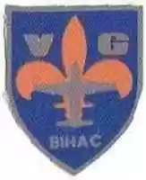 Free download 2016 Bosnian, Croatian and Herzegovinan Military Badges free photo or picture to be edited with GIMP online image editor