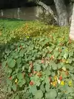 Free download 2018 05 MEMORY DUMP IMAGES free photo or picture to be edited with GIMP online image editor