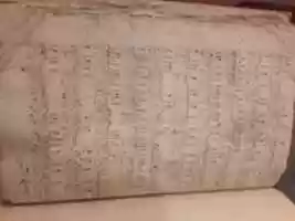 Free download 20180711 102507 free photo or picture to be edited with GIMP online image editor