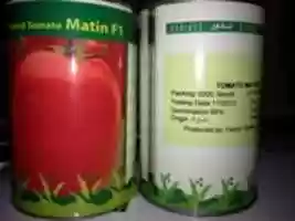 Free download 214625 free photo or picture to be edited with GIMP online image editor