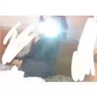 Free download 26854129 2039553912984292 402481200 O free photo or picture to be edited with GIMP online image editor