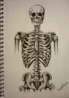 Free download 2acb 78917712713e 5c 9d 9b 3940f 3b 9cc free photo or picture to be edited with GIMP online image editor