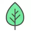 2day is a Good Day  screen for extension Chrome web store in OffiDocs Chromium