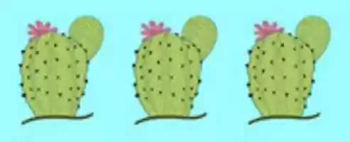 Free download 3cactus free photo or picture to be edited with GIMP online image editor