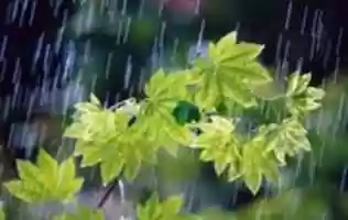 GIMP ഓൺലൈൻ ഇമേജ് എഡിറ്റർ ഉപയോഗിച്ച് എഡിറ്റ് ചെയ്യാവുന്ന സൗജന്യ ഫോട്ടോ അല്ലെങ്കിൽ ചിത്രം 41306-20160706 സൗജന്യ ഡൗൺലോഡ് ചെയ്യുക