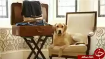 Free download 41323-20160625 free photo or picture to be edited with GIMP online image editor