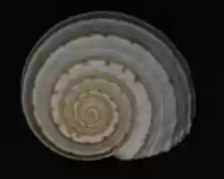 Free download 49689150978 43328370b 2 C free photo or picture to be edited with GIMP online image editor