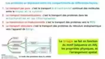 Free download 4 voies vers les lysosomes free photo or picture to be edited with GIMP online image editor