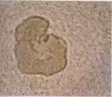 Free download 555555_433 free photo or picture to be edited with GIMP online image editor