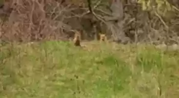 Free download 58917015 10214148734605512 4088310039700307968 O free photo or picture to be edited with GIMP online image editor