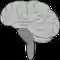 Brain Cerebrum BrainstemFree vector graphic on Pixabay