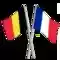 France Friendship Flag