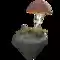 Mushroom Island Fantasy