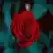 Róża Kwiat Natura