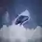 Cá voi Đám mây vũ trụ