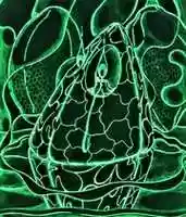 Free download #8 Shamans Cave free photo or picture to be edited with GIMP online image editor