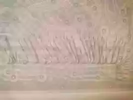 Free download A6AA173 1 free photo or picture to be edited with GIMP online image editor